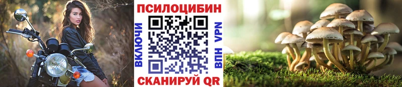 цены наркотик mega рабочий сайт Галлюциногенные грибы ЛСД Лиски