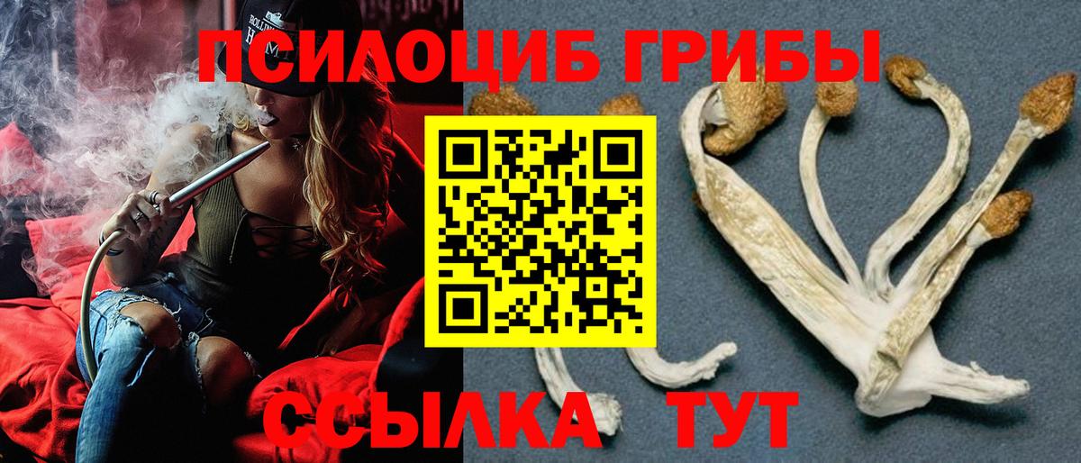 Псилоцибиновые грибы Psilocybine cubensis Лиски