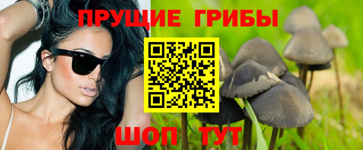 как найти наркотики  Лиски  Галлюциногенные грибы мицелий 