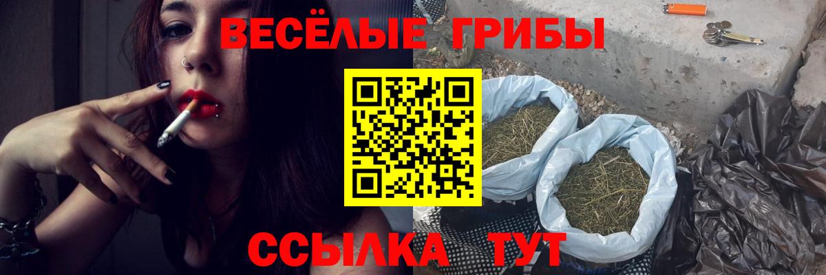 Лиски  Галлюциногенные грибы GOLDEN TEACHER  Вход с VPN 